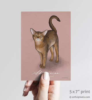 Abyssinian Cat Art Print 5x7