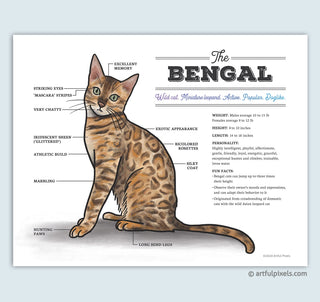 Bengal cat art print diagram chart
