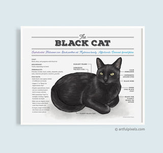 Black Cat Chart Poster