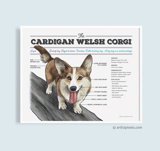 Cardigan Welsh Corgi Dog Diagram Art Print