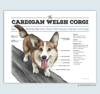 Cardigan Welsh Corgi Dog Breed Chart Art Print