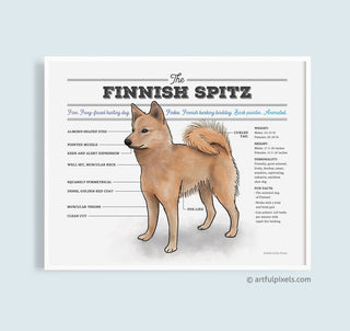 Finnish Spitz diagram chart art poster