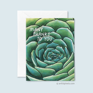 Many Thanks to You - Thank You greeting card with green succulent illustration, close-up petal details