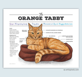 Orange Tabby Ginger Cat Chart Art Print