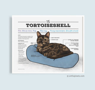 Tortoiseshell cat art print diagram chart
