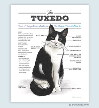Tuxedo cat infographic art print