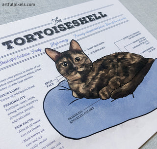 Tortie cat infographic print